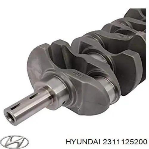 Cambota de motor para Hyundai H-1 STAREX Starex TQ