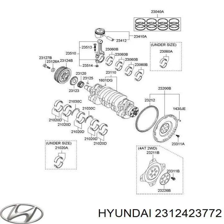 2312423772 Hyundai/Kia шкив коленвала