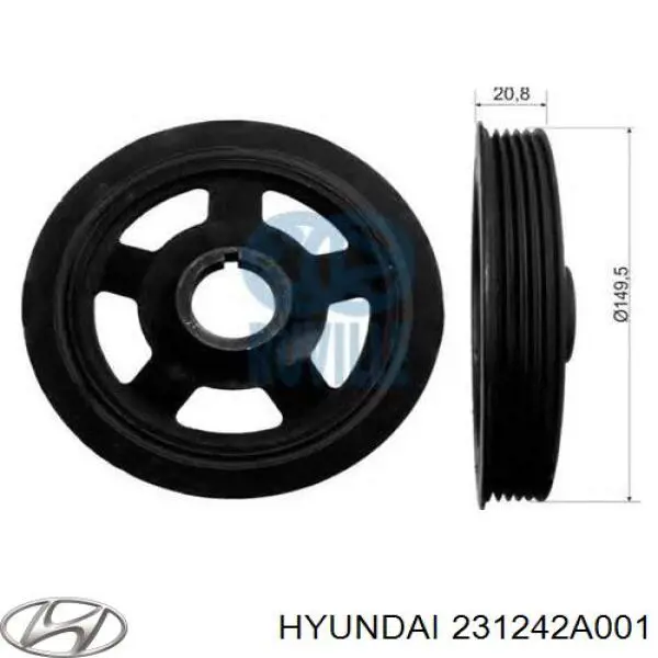 231242A001 Hyundai/Kia polia de cambota