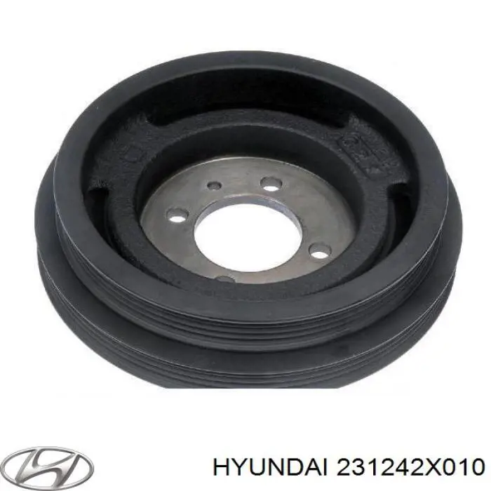 231242X010 Hyundai/Kia polia de cambota