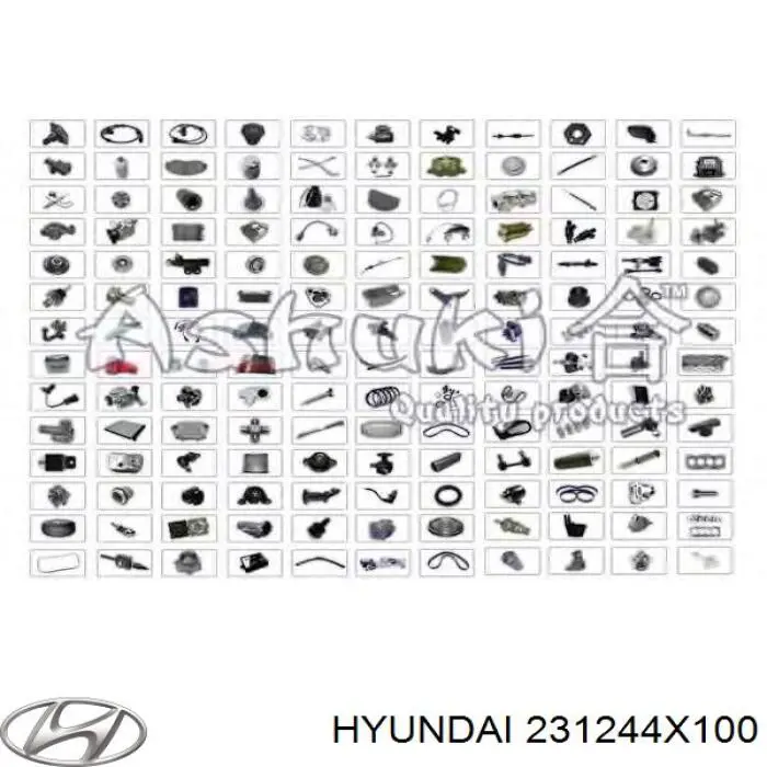 231244X100 Hyundai/Kia Polia de cambota