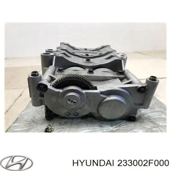 Корпус балансировочного механизма на Hyundai Santa Fe III 