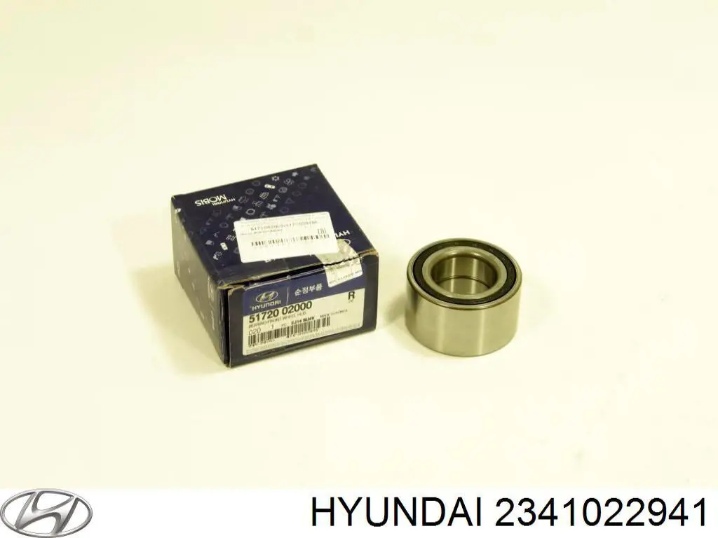  2341022941 Hyundai/Kia