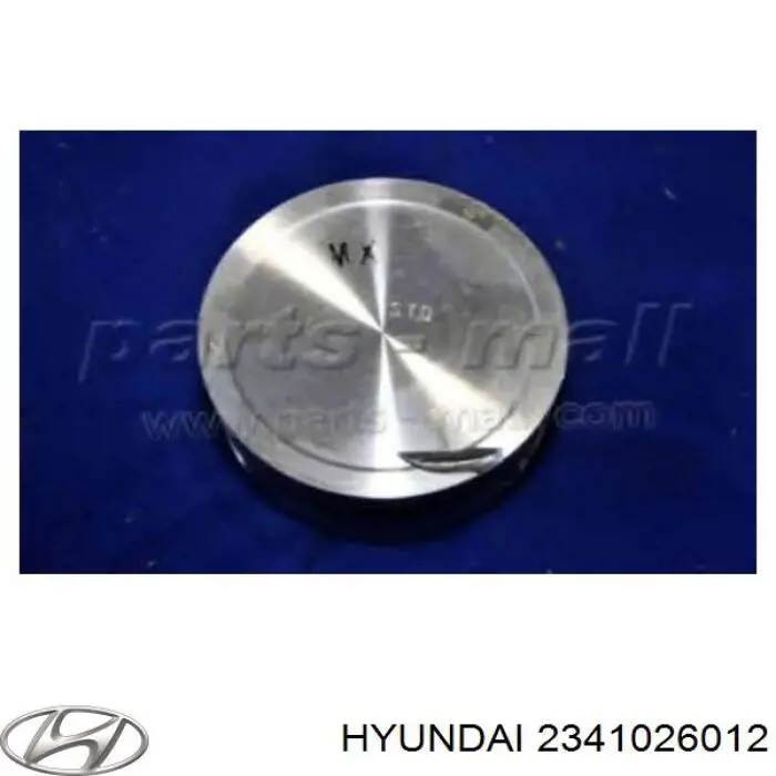 Поршень в сборе Hyundai/Kia 2341026012 цена, от 9.24 USD