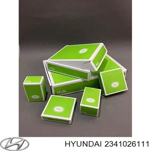 2341026510 Hyundai/Kia pistão com passador sem anéis, std
