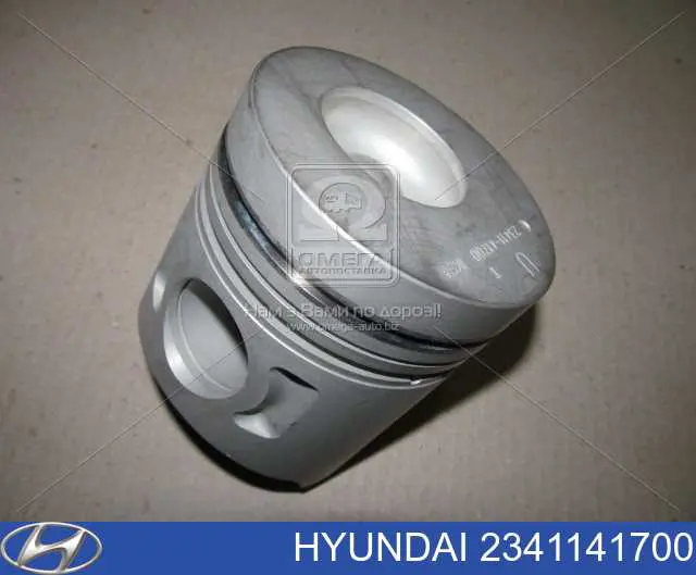 Pistão do kit para 1 cilindro, STD para Hyundai HD 
