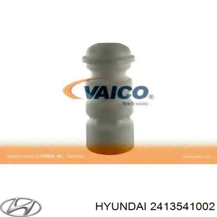 2413541002 Hyundai/Kia 