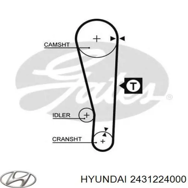 2431224000 Hyundai/Kia Ремень двигателя