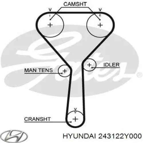 ГРМ ремни Hyundai/Kia 243122Y000