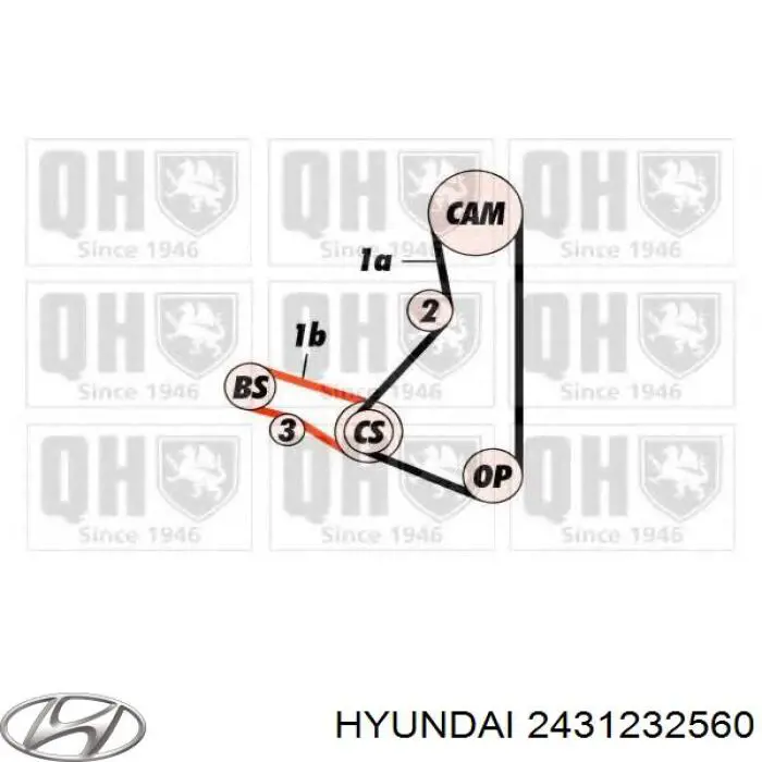 Купить 2431232560 Hyundai/Kia Ремень газораспределительного механизма
