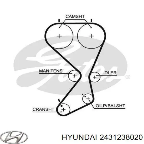 2431238020 Hyundai/Kia Ремень двигателя