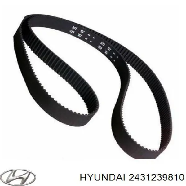 2431239810 Hyundai/Kia Ремень двигателя