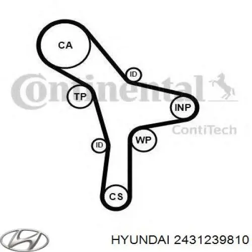 Купить 2431239810 Hyundai/Kia Ремень газораспределительного механизма