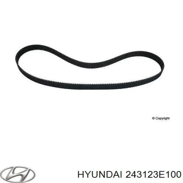 243123E100 Hyundai/Kia