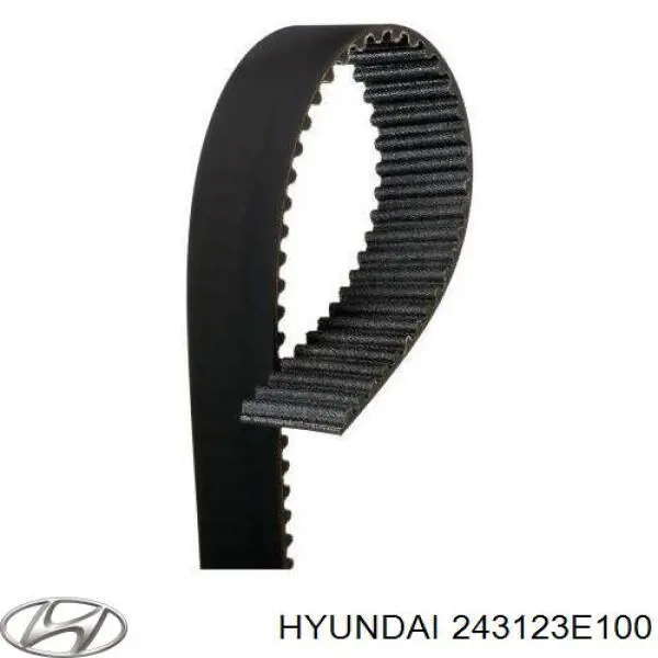 Купить 243123E100 Hyundai/Kia Ремень газораспределительного механизма