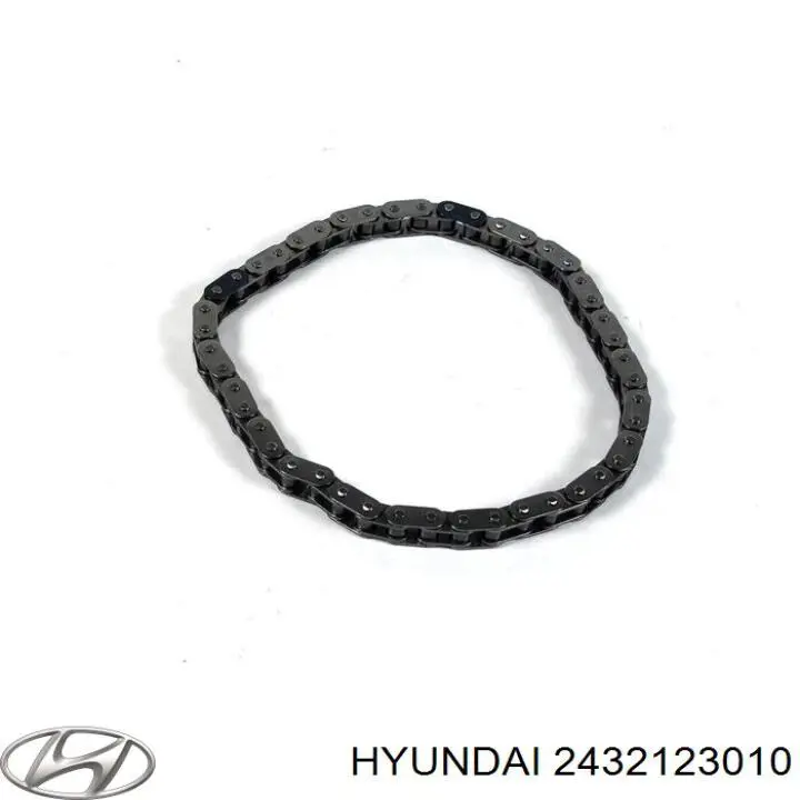 Цепь распредвала Hyundai/Kia 2432123000