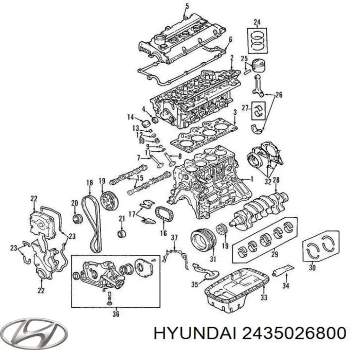 Шестерня впускного распредвала 2435026800 Hyundai/Kia