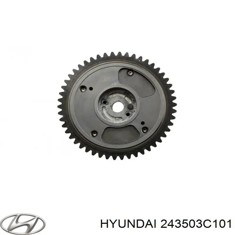 243503C101 Hyundai/Kia