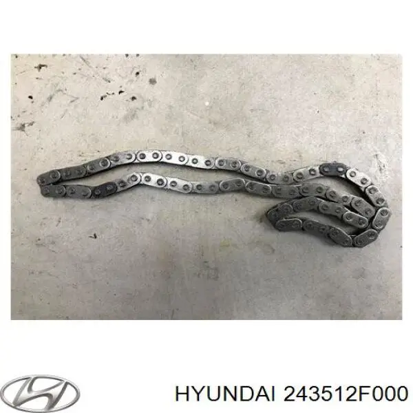 Цепь масляного насоса на Hyundai Santa Fe II 