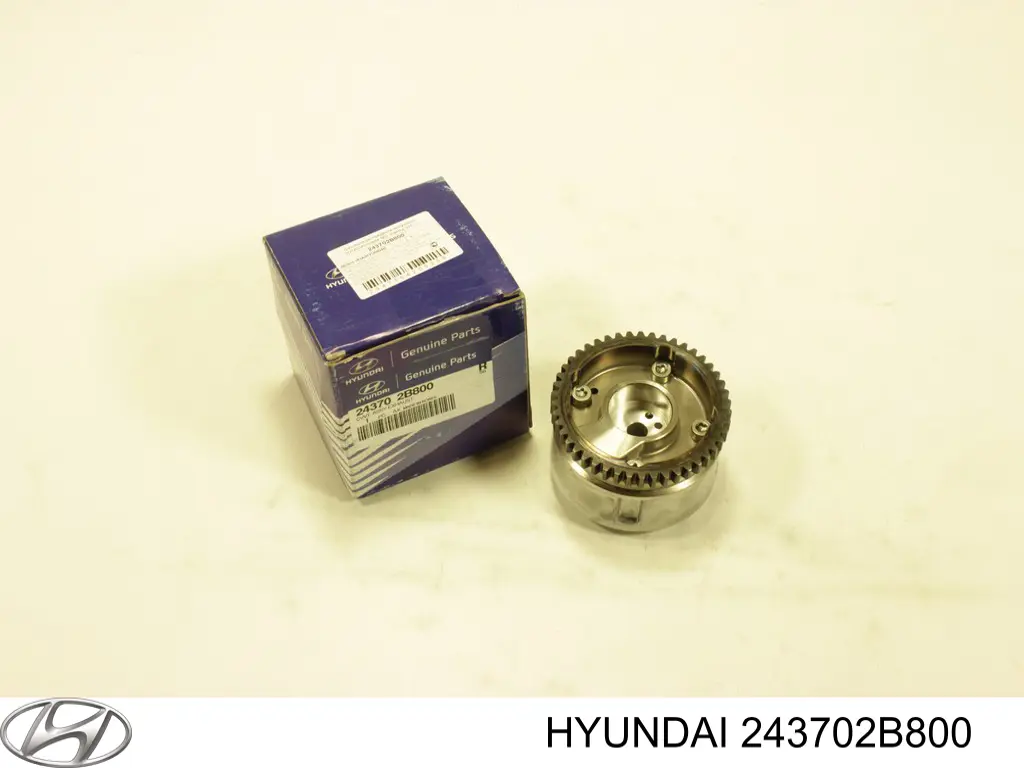 Engrenagem de cadeia de roda dentada da árvore distribuidora de escape de motor para Hyundai Elantra (MD)