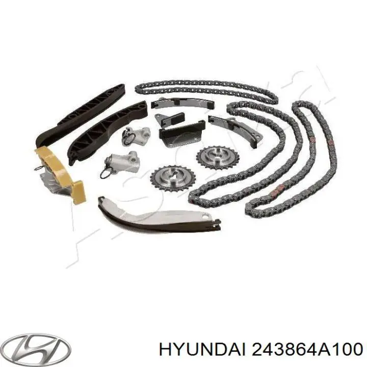 243864A100 Hyundai/Kia успокоитель цепи грм, правый