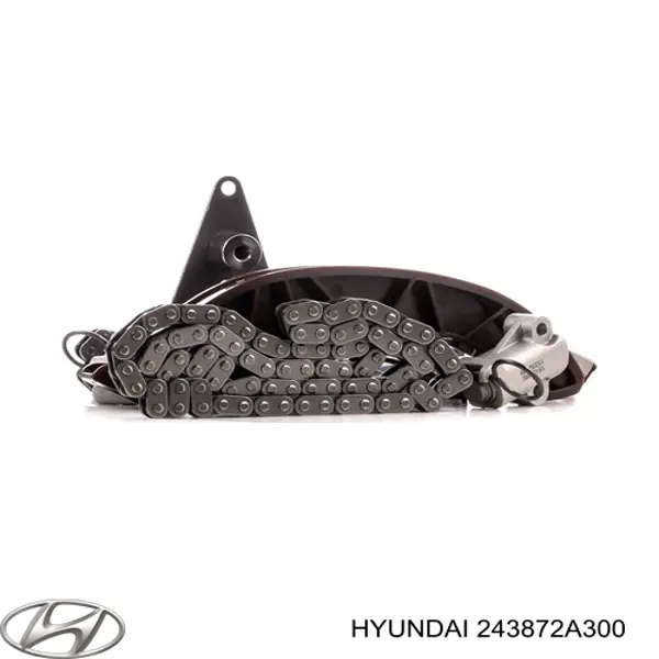 Успокоитель цепи ГРМ, верхний Hyundai/Kia 243872A300 цена, от 37.84 USD