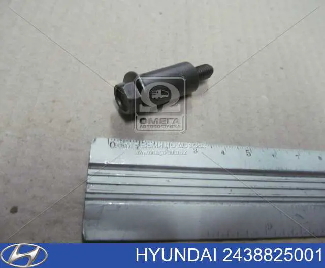  2438825001 Hyundai/Kia