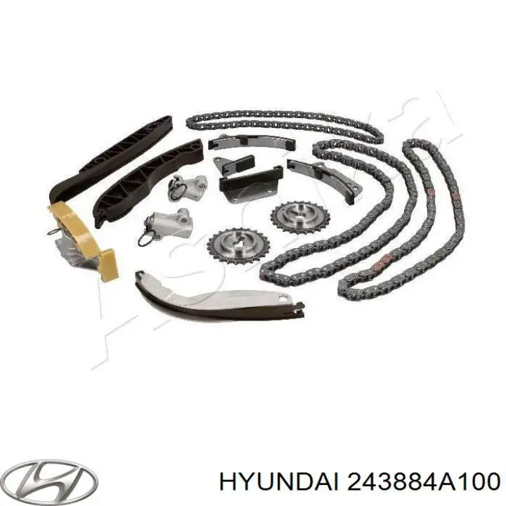 243884A100 Hyundai/Kia успокоитель цепи грм, верхний гбц