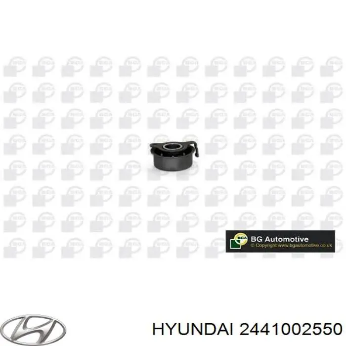 Ролик натяжителя ремня ГРМ Hyundai/Kia 2441002550