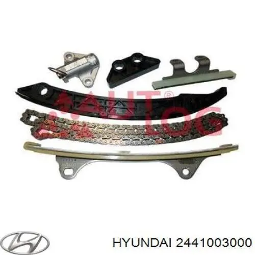 Tensor, cadena de distribución 2441003000 Hyundai/Kia