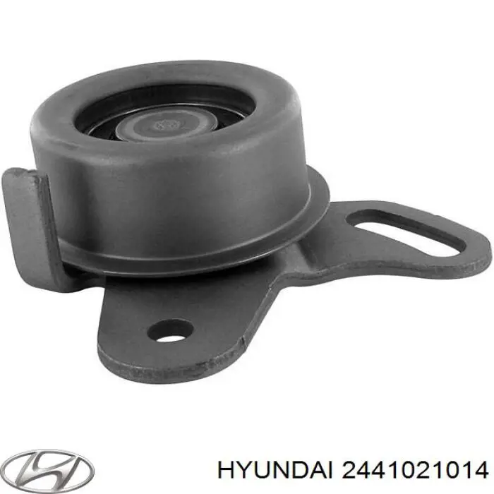 2441021014 Hyundai/Kia ролик грм