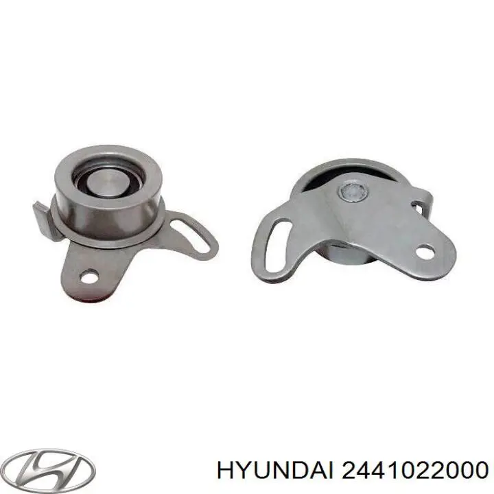 Ролик ГРМ 2441022000 Hyundai/Kia