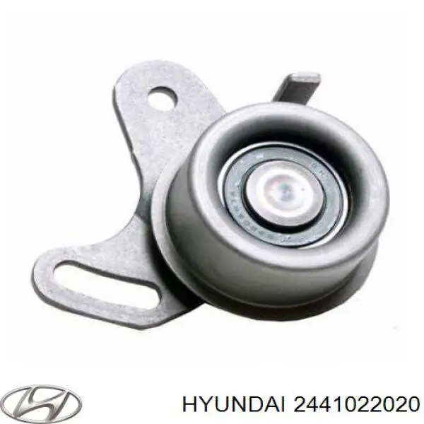 Ролик ГРМ 2441022020 Hyundai/Kia