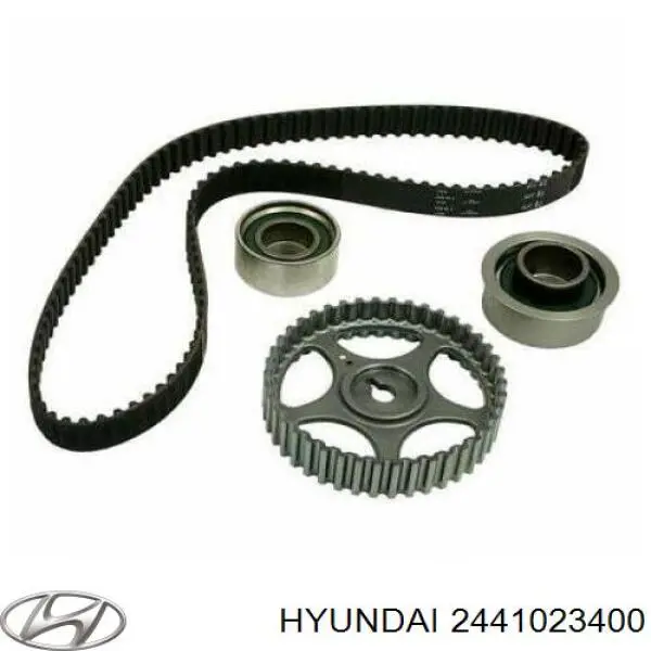 Ролик натяжителя Hyundai/Kia 2441023400