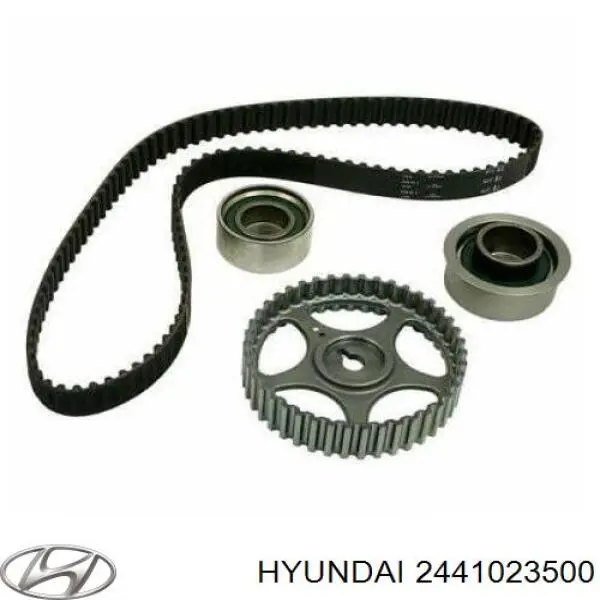 Ролик натяжителя Hyundai/Kia 2441023500