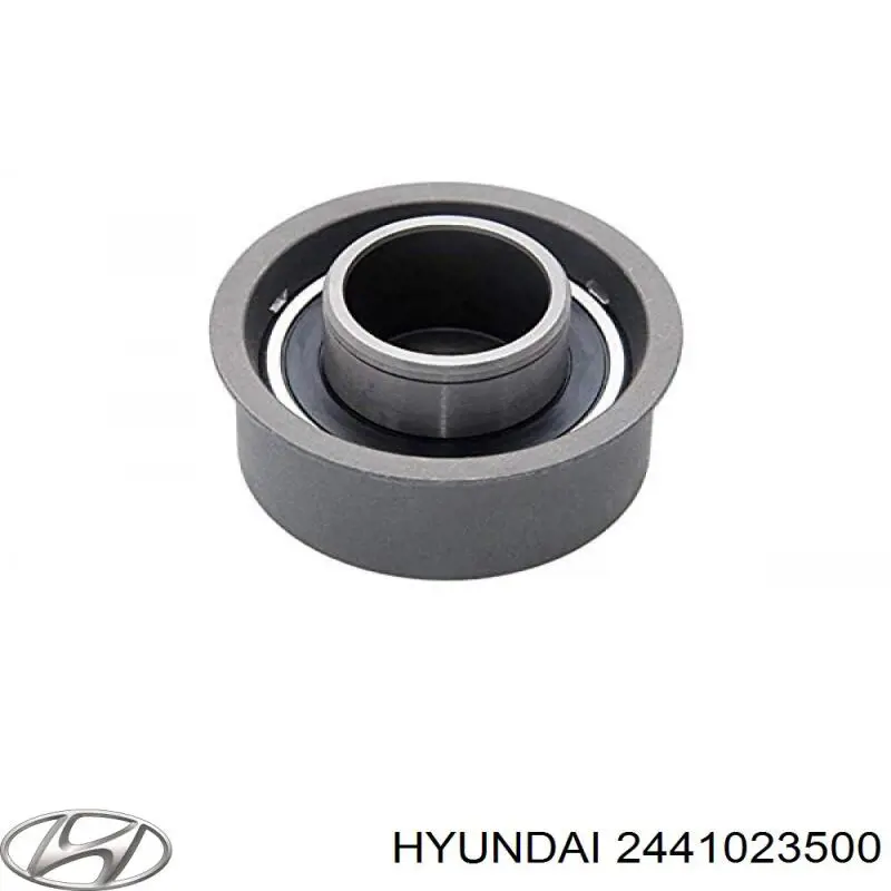2441023500 Hyundai/Kia ролик грм