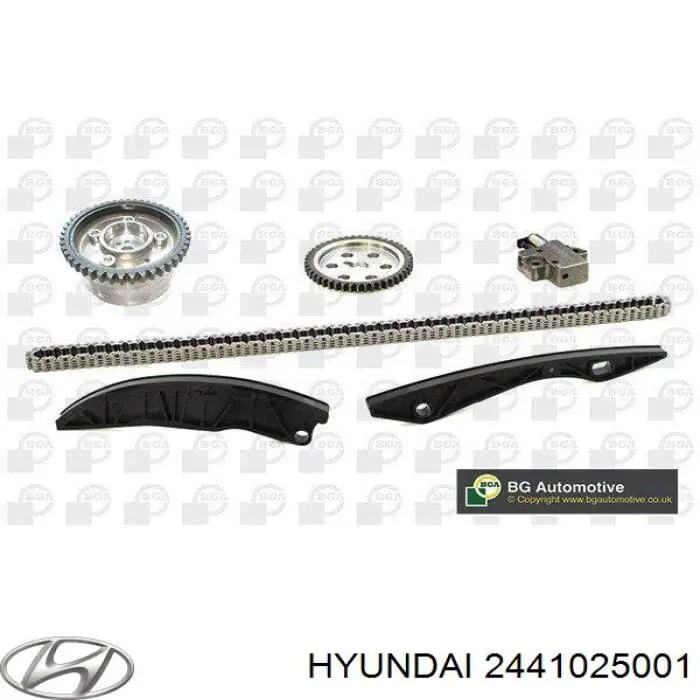 Купить 2441025001 Hyundai/Kia Натяжитель цепи ГРМ