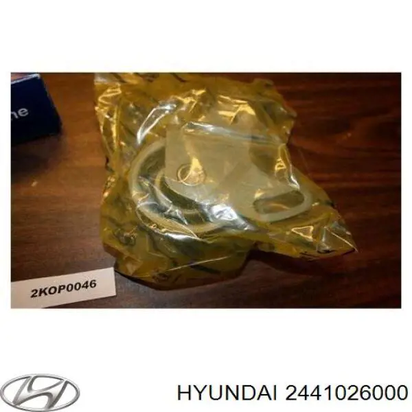 Купить 2441026000 Hyundai/Kia Ролик натяжителя газораспределительного ремня