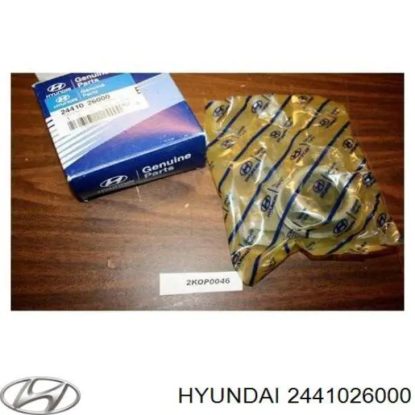 Ролик ГРМ 2441026000 Hyundai/Kia