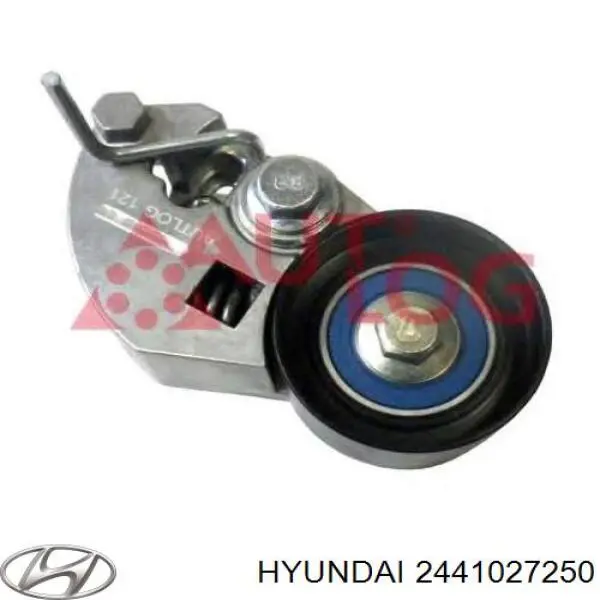 2441027250 Hyundai/Kia Ролик натяжителя ремня ГРМ
