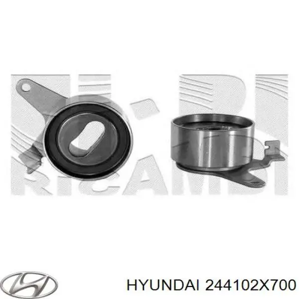 244102X700 Hyundai/Kia ролик грм