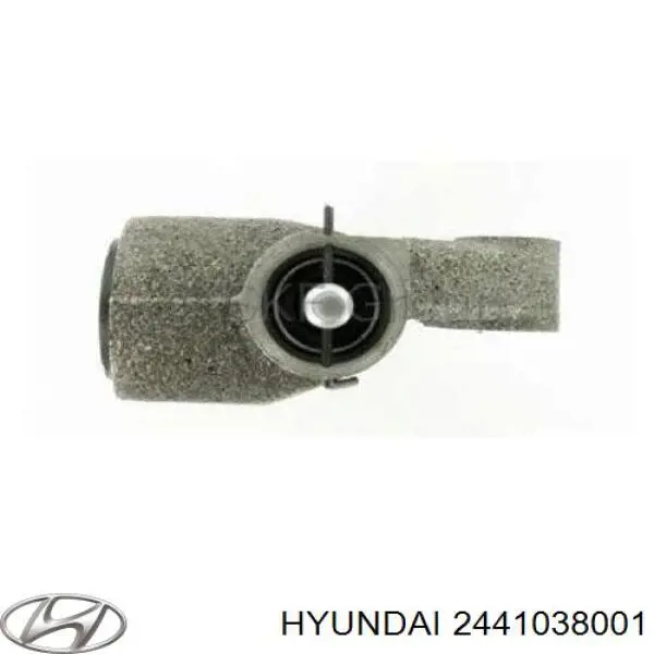 2441038001 Hyundai/Kia