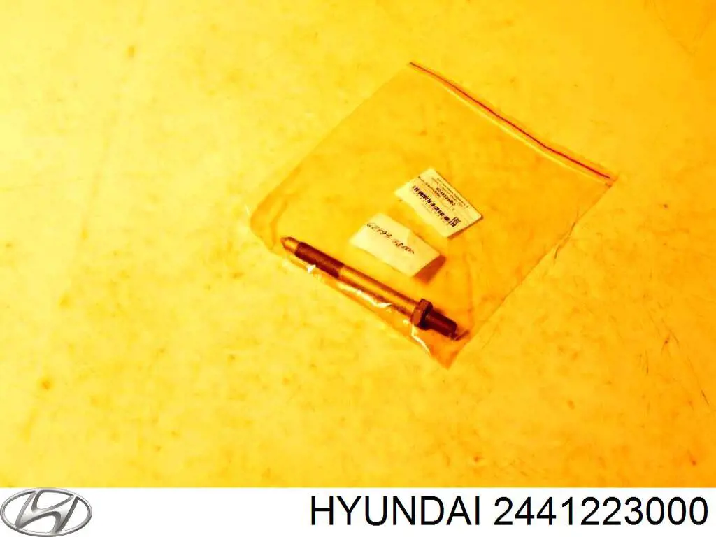  2441223000 Hyundai/Kia