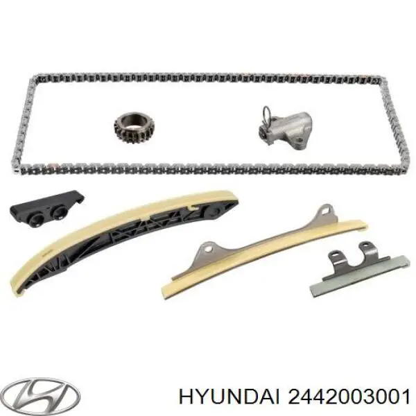 2442003001 Hyundai/Kia башмак натяжителя цепи грм
