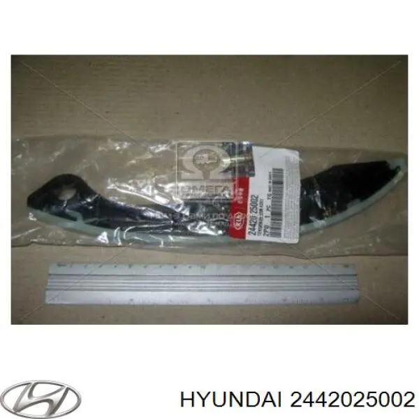 Башмак натяжителя цепи ГРМ 2442025002 Hyundai/Kia
