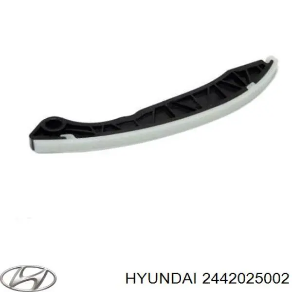 Купить 2442025002 Hyundai/Kia Башмак натяжителя цепи ГРМ