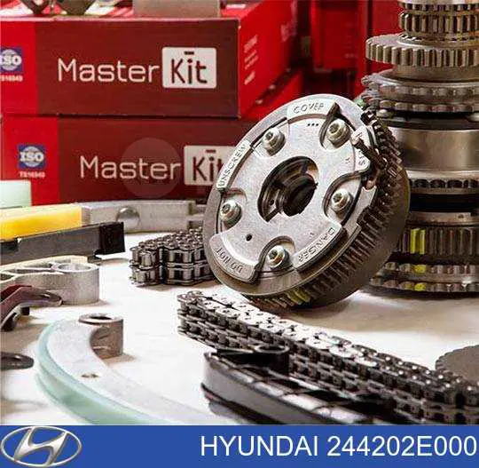 Купить 244202E000 Hyundai/Kia Успокоитель цепи ГРМ, правый