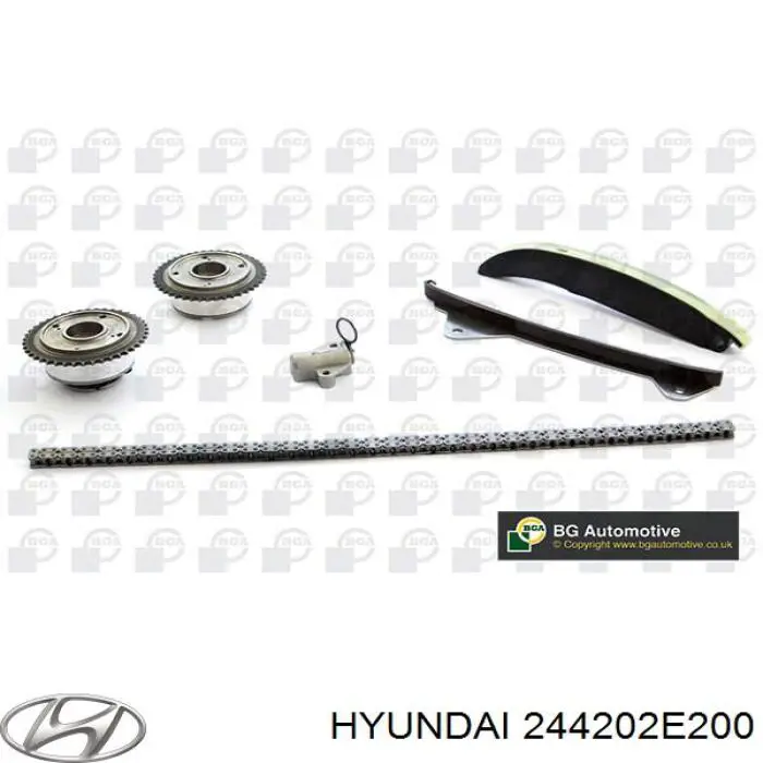 244202E200 Hyundai/Kia башмак натяжителя цепи грм