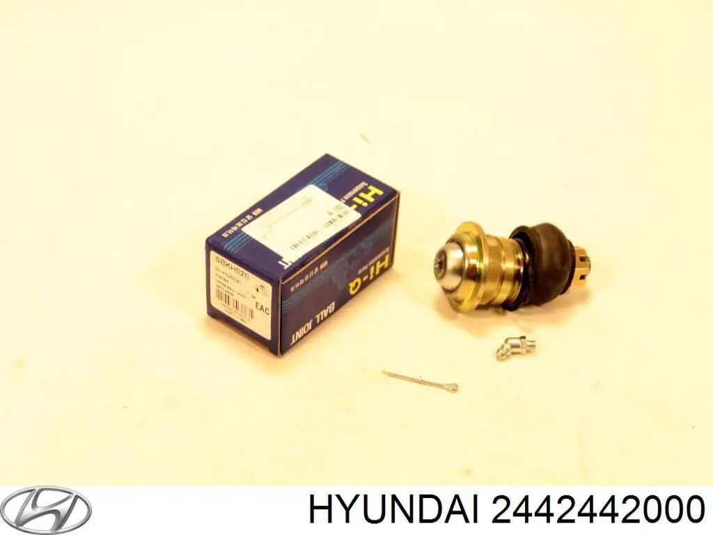 2442442000 Hyundai/Kia 