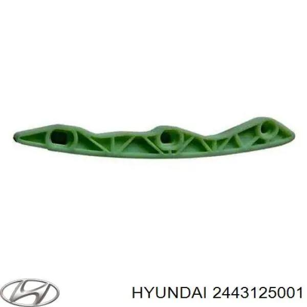 2443125001 Hyundai/Kia успокоитель цепи грм